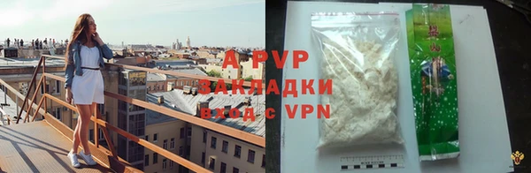 спайс Богданович