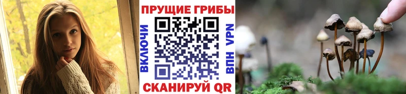Галлюциногенные грибы GOLDEN TEACHER  Воркута 