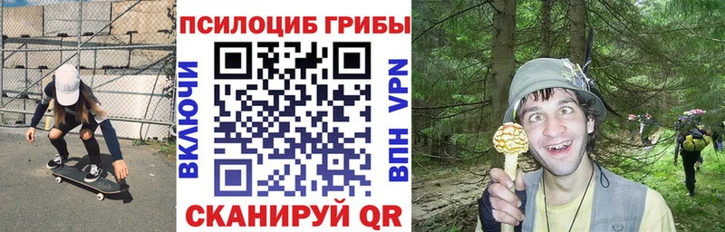Псилоцибиновые грибы Psilocybine cubensis Воркута
